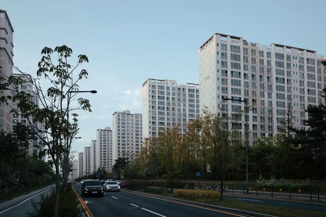 전세 보증보험 가입 흐름도